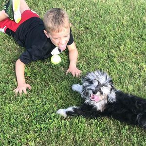 Meet your Posher, Kristin